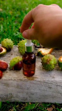Horse chestnut tincture and supplements. Selective focus. Nature.