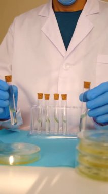 Petri kabı laboratuarında araştırma. Seçici odaklanma. İlaç..