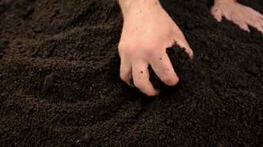 Soil in a man hands. Selective focus. Nature.