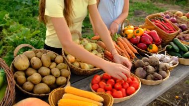 Çiftçi pazarında sebzeli bir çocuk. Seçici odaklanma. Yiyecek..