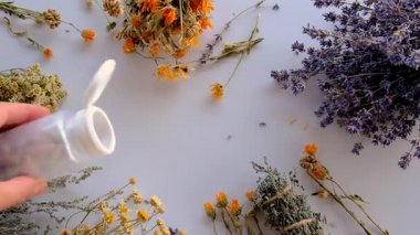 Kurutulmuş şifalı bitkiler ve çiçekler. Seçici odaklanma. Doğa.