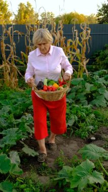 Sebze pazarında. Seçici odaklanma. Yiyecek..