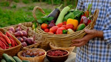 Çiftçi pazarında sebzeli bir adam. Seçici odaklanma. Yiyecek..