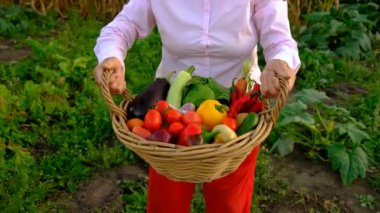 Sebze pazarında. Seçici odaklanma. Yiyecek..