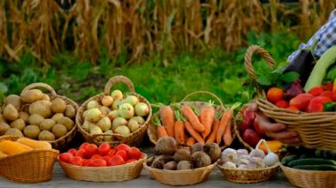 Çiftçi pazarında sebzeli bir adam. Seçici odaklanma. Yiyecek..