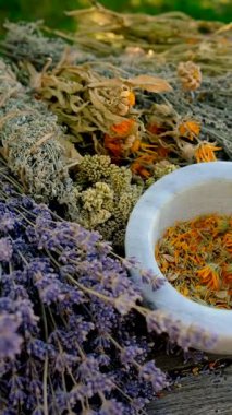 Kurumuş şifalı otları olan bir kadın. Seçici odaklanma. Doğa.