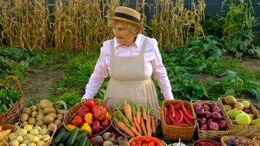 Sebze pazarında. Seçici odaklanma. Yiyecek..