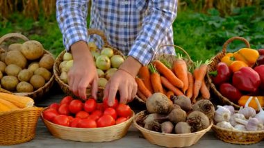 Çiftçi pazarında sebzeli bir adam. Seçici odaklanma. Yiyecek..