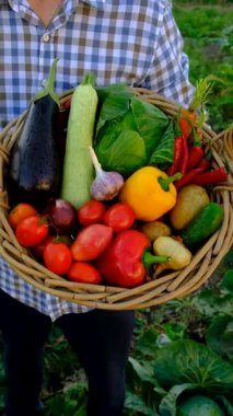 Çiftçi pazarında sebzeli bir adam. Seçici odaklanma. Yiyecek..