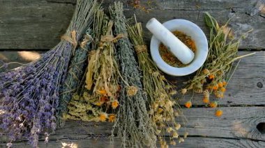 Kurumuş şifalı otları olan bir kadın. Seçici odaklanma. Doğa.