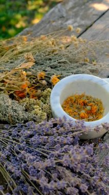 Kurumuş şifalı otları olan bir kadın. Seçici odaklanma. Doğa.