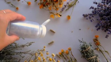 Kurutulmuş şifalı bitkiler ve çiçekler. Seçici odaklanma. Doğa.