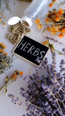 Kurutulmuş şifalı bitkiler ve çiçekler. Seçici odaklanma. Doğa.