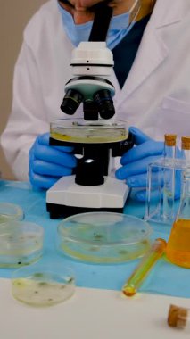 Petri kabı laboratuarında araştırma. Seçici odaklanma. İlaç..