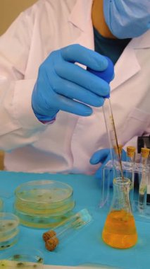 Petri kabı laboratuarında araştırma. Seçici odaklanma. İlaç..