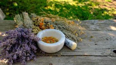 Kurumuş şifalı otları olan bir kadın. Seçici odaklanma. Doğa.