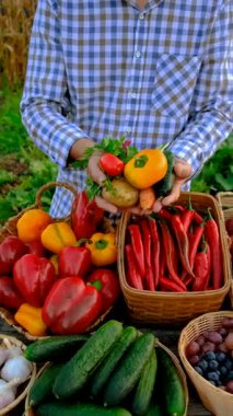 Çiftçi pazarında sebzeli bir adam. Seçici odaklanma. Yiyecek..