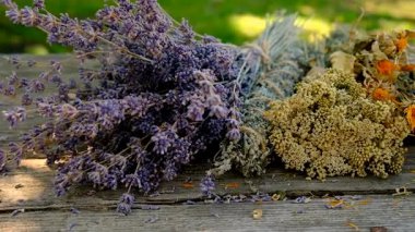 Kurumuş şifalı otları olan bir kadın. Seçici odaklanma. Doğa.