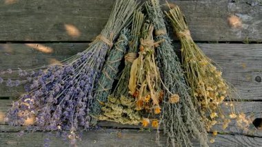 Kurumuş şifalı otları olan bir kadın. Seçici odaklanma. Doğa.