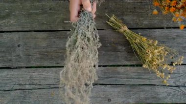 Kurumuş şifalı otları olan bir kadın. Seçici odaklanma. Doğa.