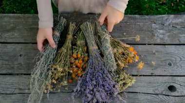 Kurumuş şifalı otları olan bir kadın. Seçici odaklanma. Doğa.