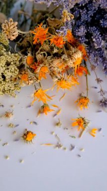 Kurutulmuş şifalı bitkiler ve çiçekler. Seçici odaklanma. Doğa.