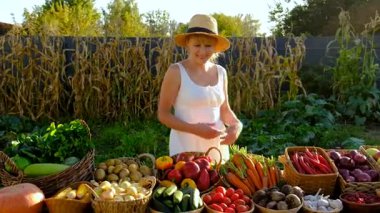 Markette sebzeli bir kadın. Seçici odaklanma. Yiyecek..