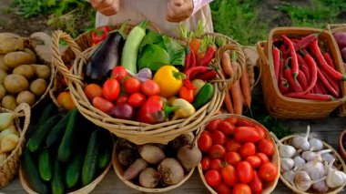 Sebze pazarında. Seçici odaklanma. Yiyecek..