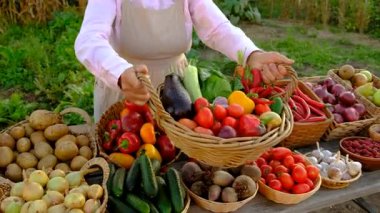 Sebze pazarında. Seçici odaklanma. Yiyecek..