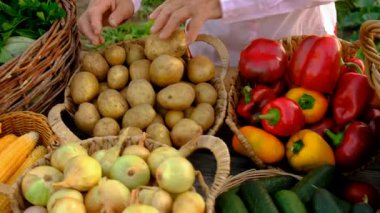 Sebze pazarında. Seçici odaklanma. Yiyecek..