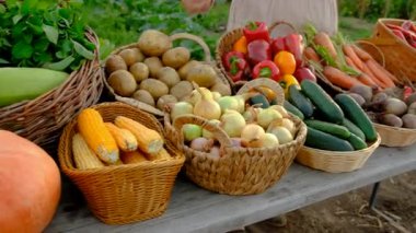 Sebze pazarında. Seçici odaklanma. Yiyecek..