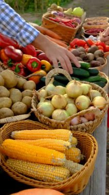 Sebze pazarında. Seçici odaklanma. Yiyecek..