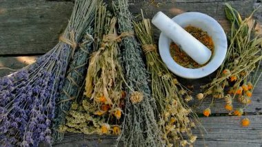 Kurumuş şifalı otları olan bir kadın. Seçici odaklanma. Doğa.