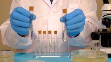 Petri kabı laboratuarında araştırma. Seçici odaklanma. İlaç..