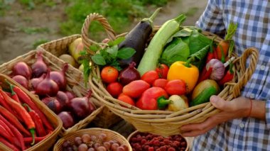 Çiftçi pazarında sebzeli bir adam. Seçici odaklanma. Yiyecek..