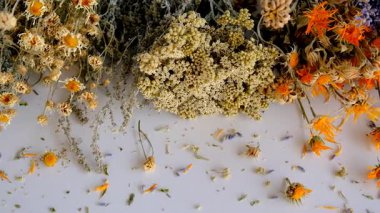 Kurutulmuş şifalı bitkiler ve çiçekler. Seçici odaklanma. Doğa.