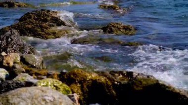 Deniz kıyısındaki taşlar. seçici odak.