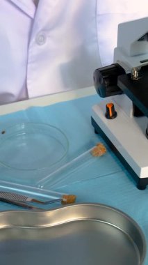 Laboratuvarda kene inceleyin. Seçici odaklanma. Doğa.