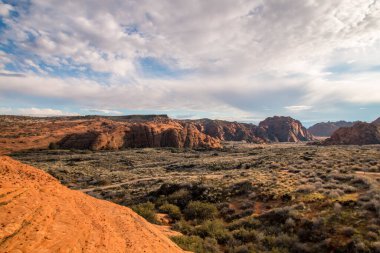 Utah, St. George 'da yürüyüş ve bisiklet yollarında çöl manzarası bulundu. İnanılmaz kızıl kaya dağ manzarası, çöl kaktüsü ve diğer çöl bitkileri..