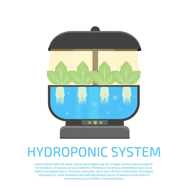 Hydrokultur systemikonen — Stock vektor