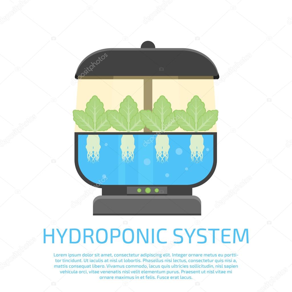 hydroponic system icon