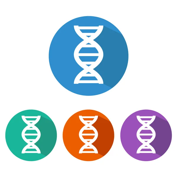 DNA icon set. Vector illustration — Stock Vector