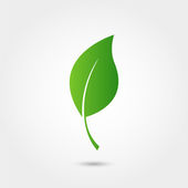 Eco-ikon zöld levél
