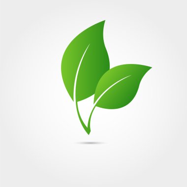 Eco icon with green leaf clipart
