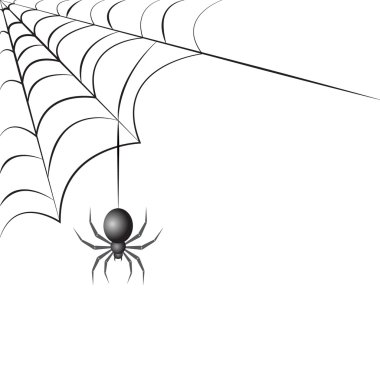 Siyah örümcek web ile