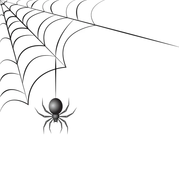 Black spider with web — Stock Vector