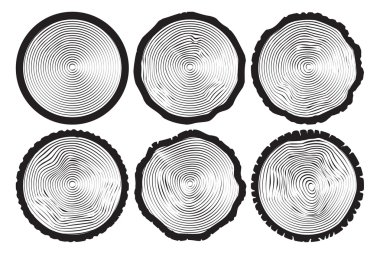 Altı ağaç halkaları