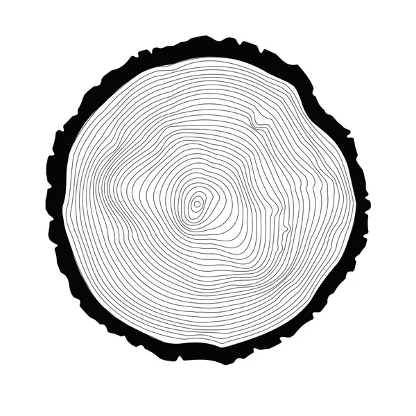 stock vector One tree ring