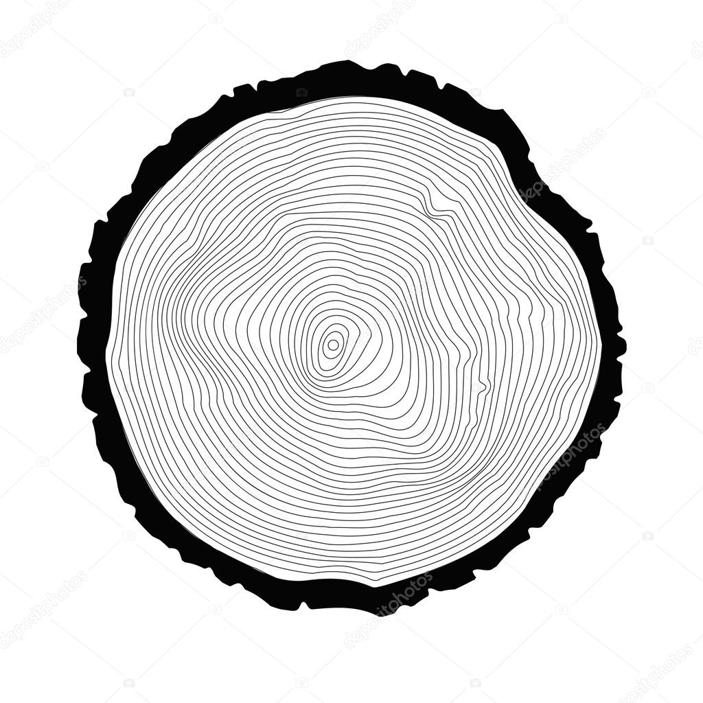 One tree ring