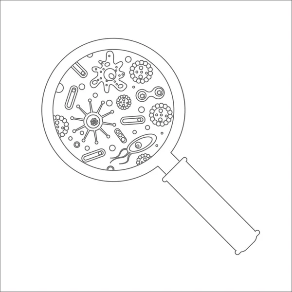 Förstoringsglas och bakterier illustration — Stock vektor